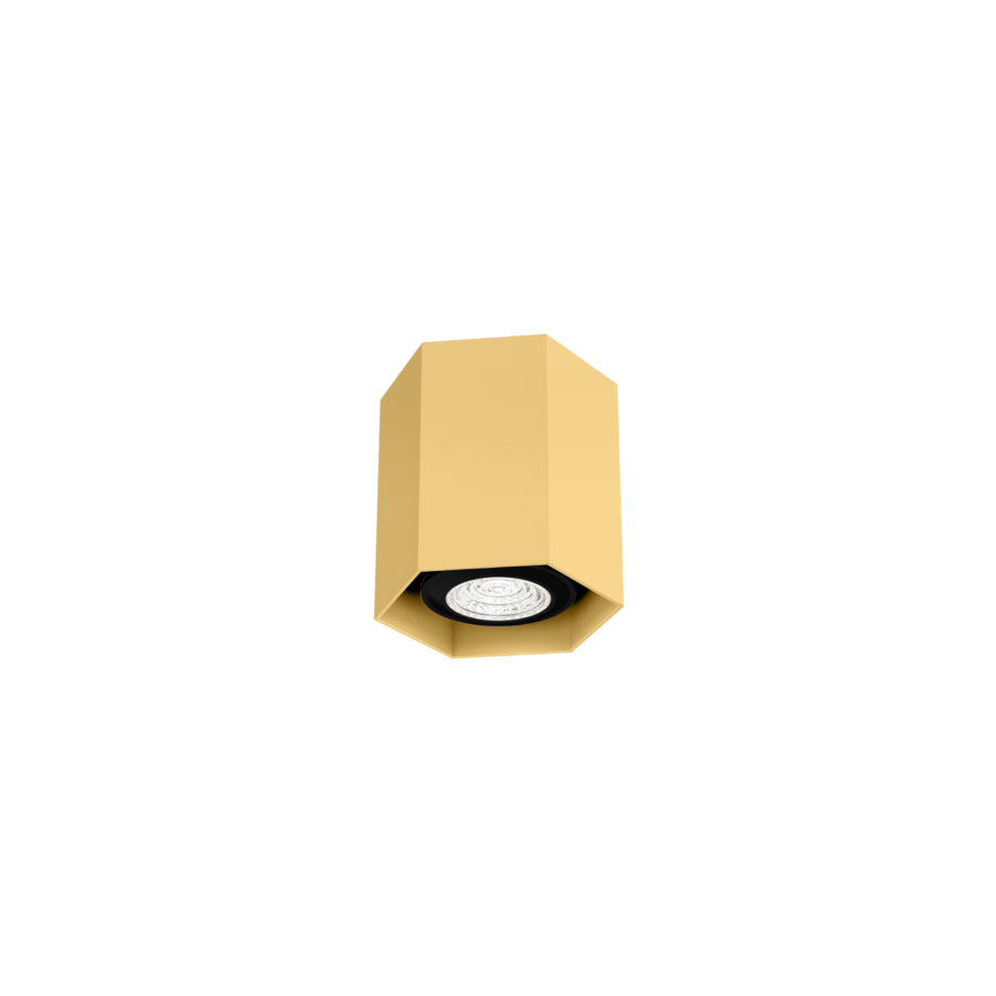 HEXO mini 1.0 (Ceiling Surface - Wever & Ducre)