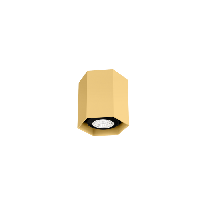 HEXO mini 1.0 (Ceiling Surface - Wever & Ducre)