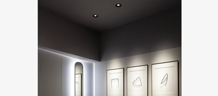 Mood Pro Adjustable Round (Professional Ceiling recessed downlight - Reggiani)
