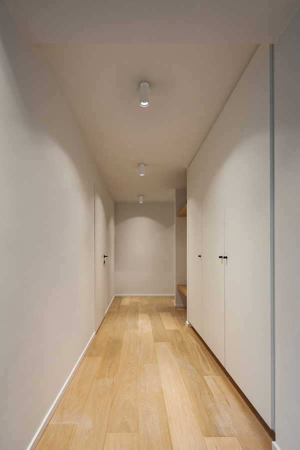 TRACE 1.0 (Ceiling Surface - Wever & Ducre)